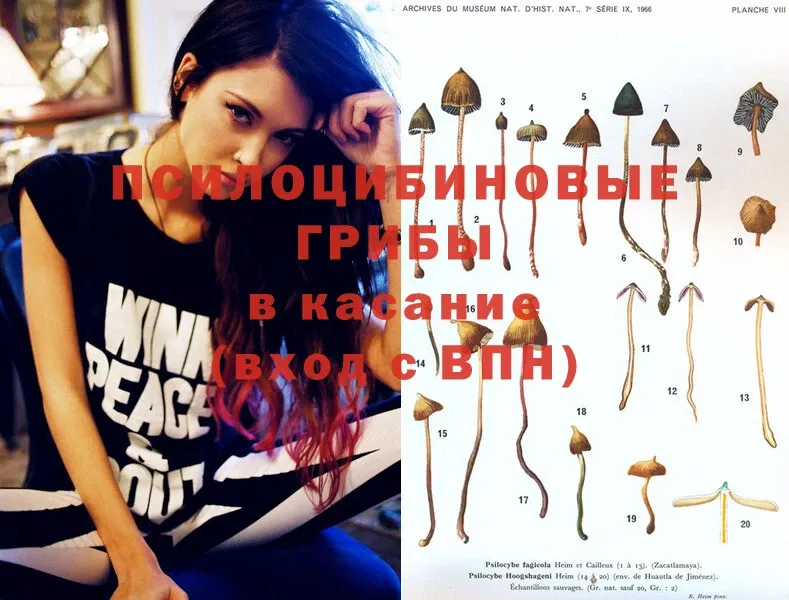 Псилоцибиновые грибы Magic Shrooms  Камешково 